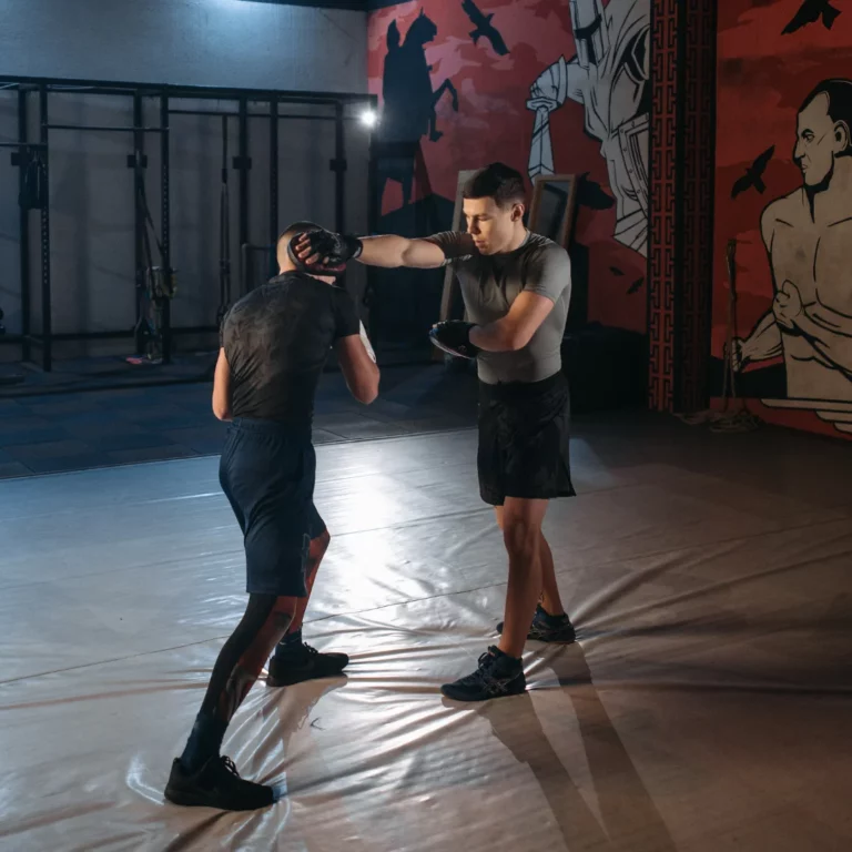 cours de MMA pour tous les niveaux